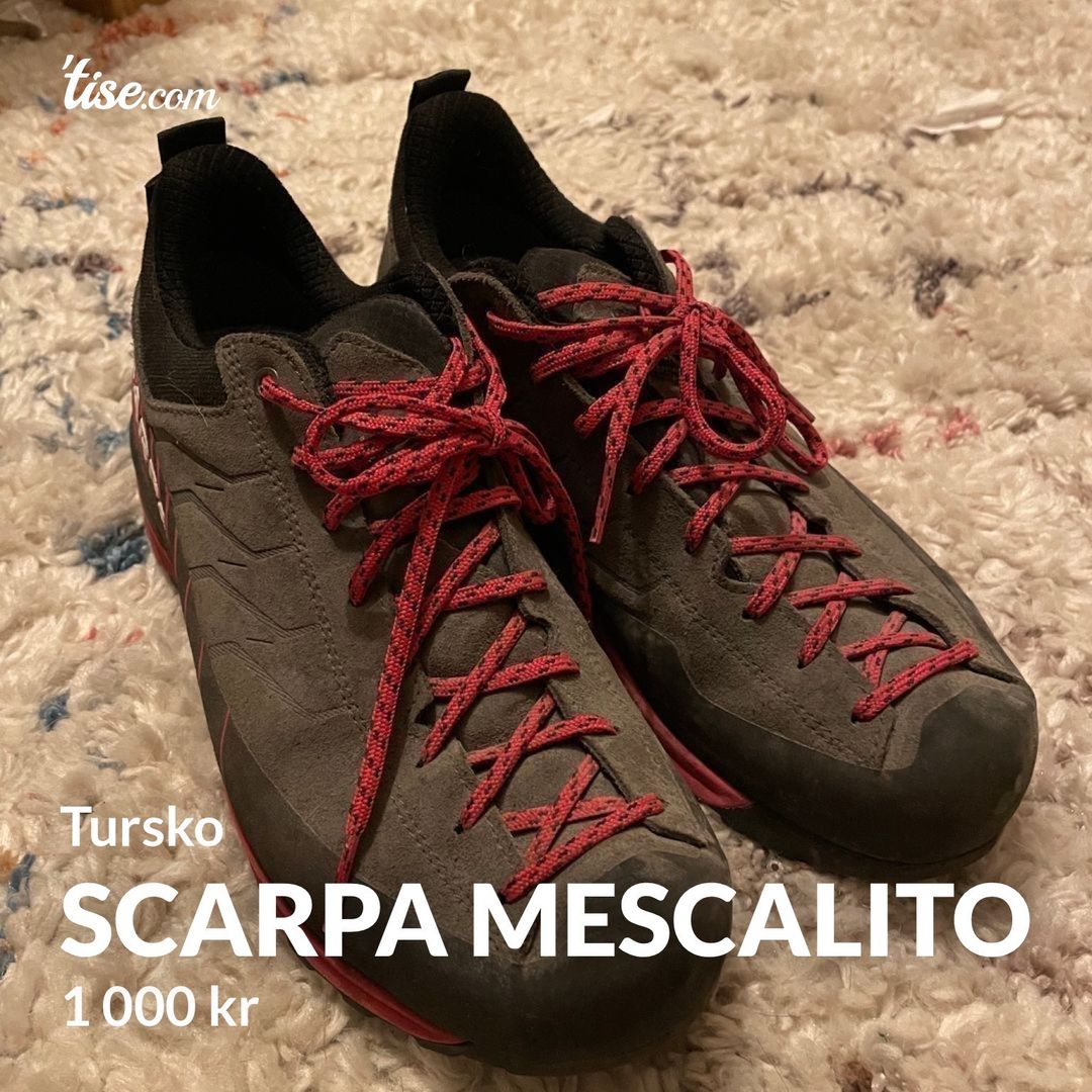 Scarpa Mescalito