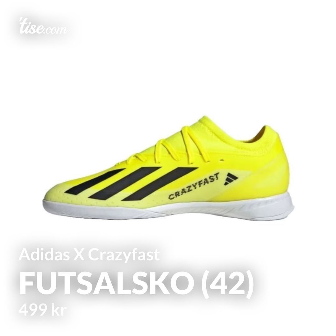 Futsalsko (42)