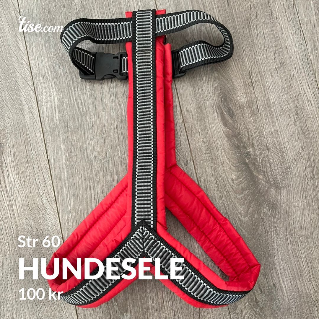 Hundesele