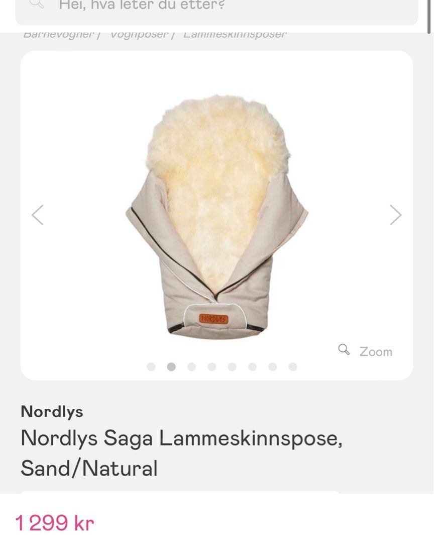 Nordlys vognpose