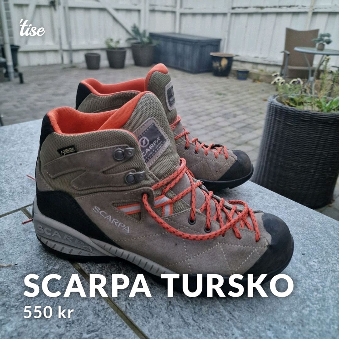 Scarpa Tursko