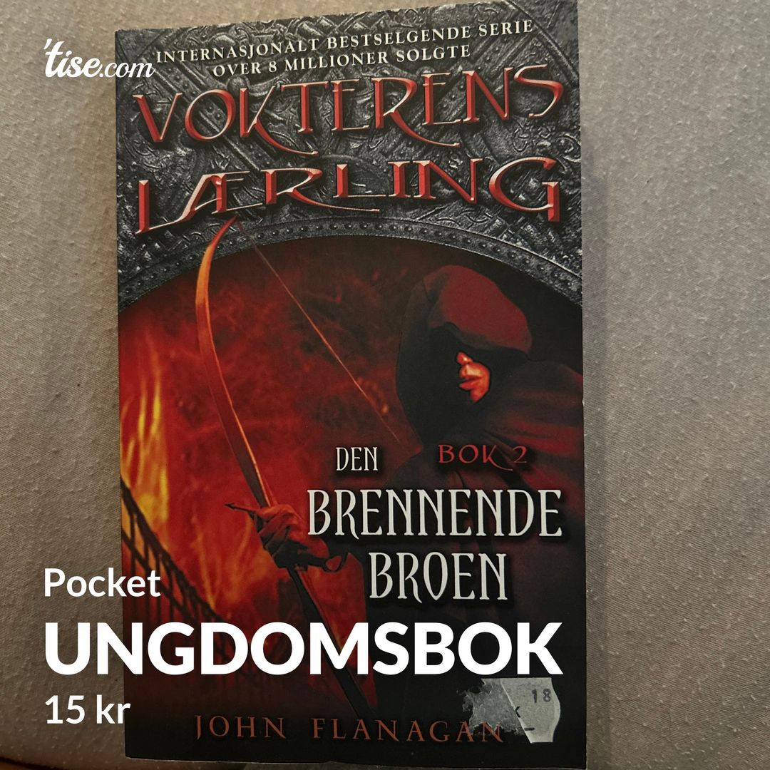 Ungdomsbok