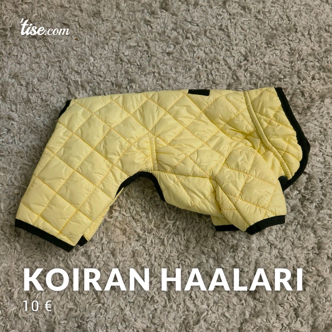 Koiran haalari