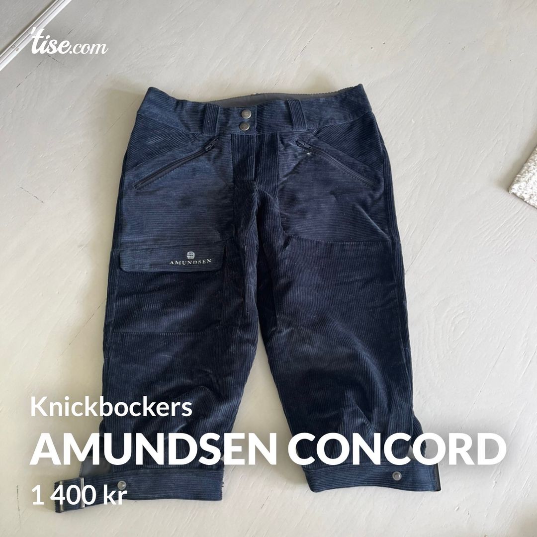 Amundsen concord