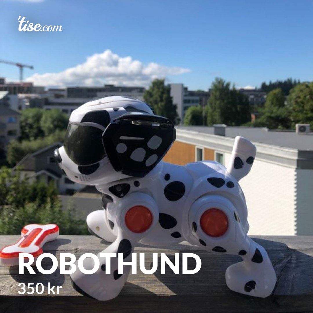 Robothund