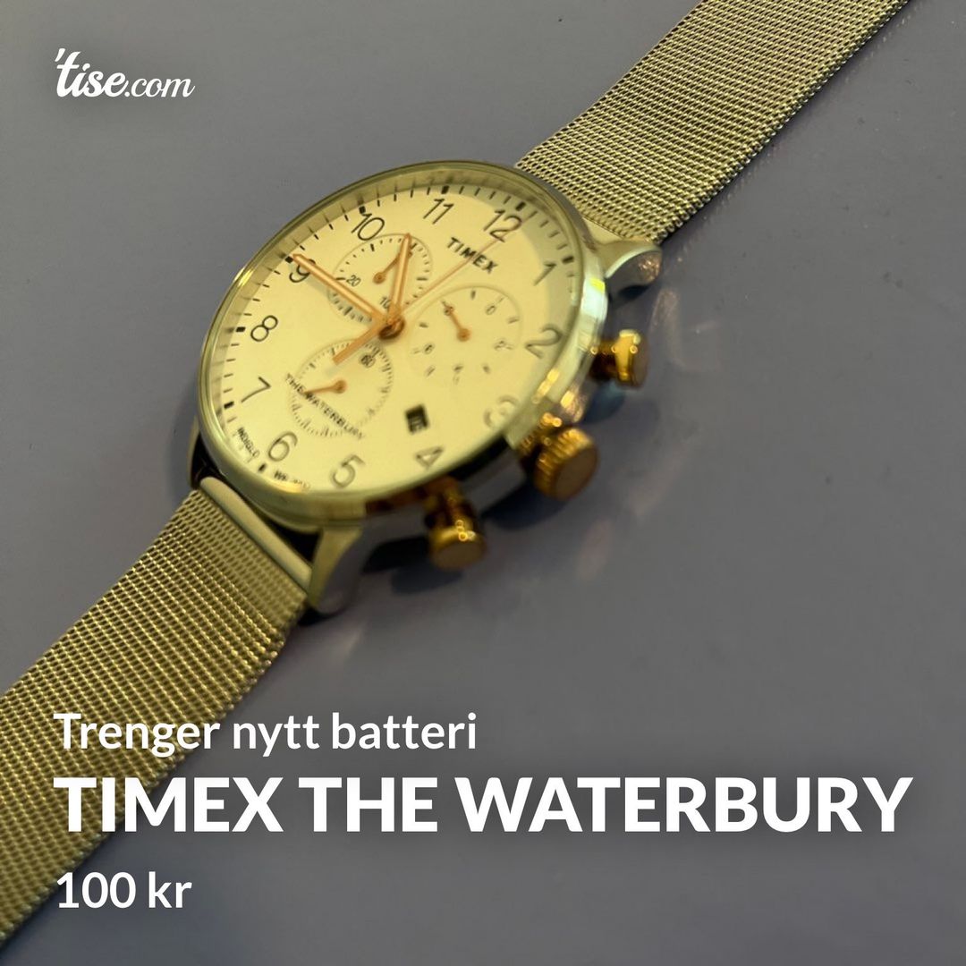 Timex The Waterbury