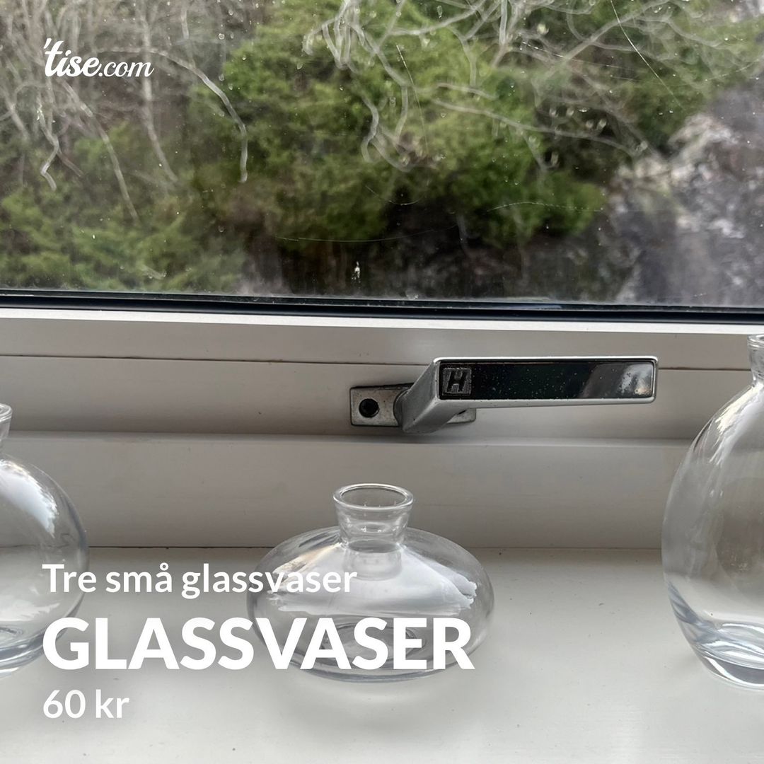 Glassvaser