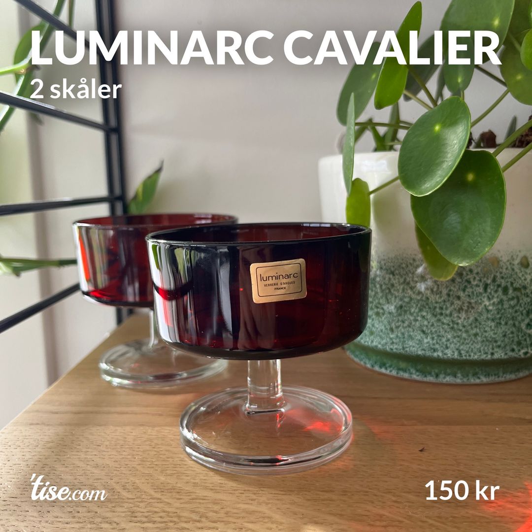 Luminarc Cavalier