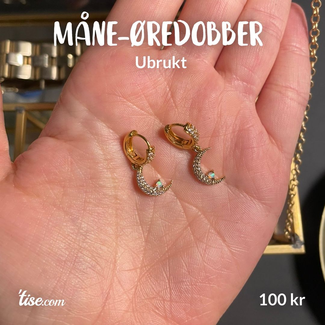 Måne-øredobber