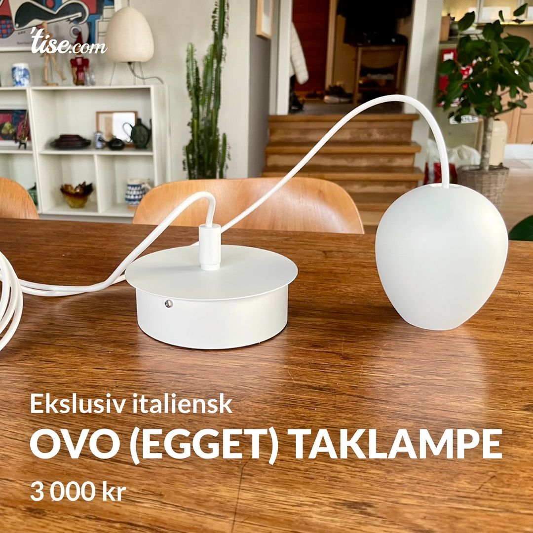 Ovo (egget) taklampe