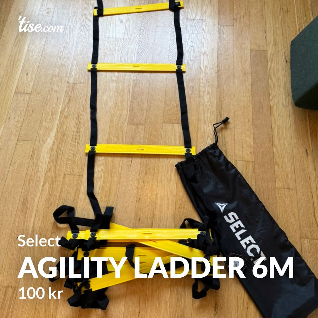 Agility Ladder 6m