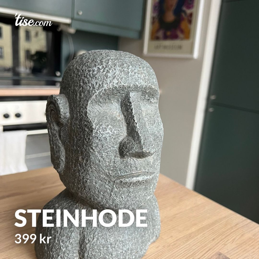 Steinhode