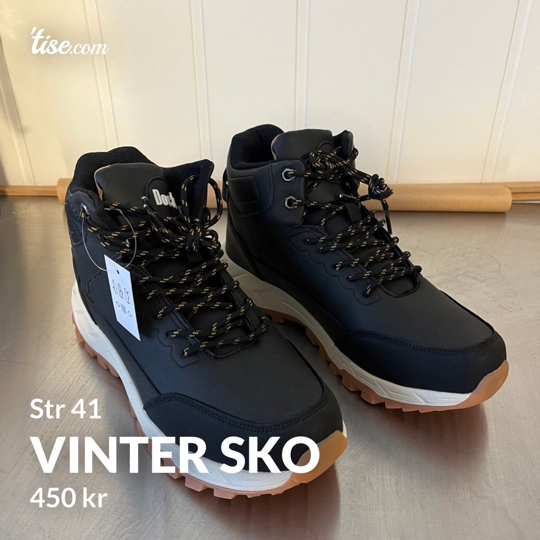 Vinter sko