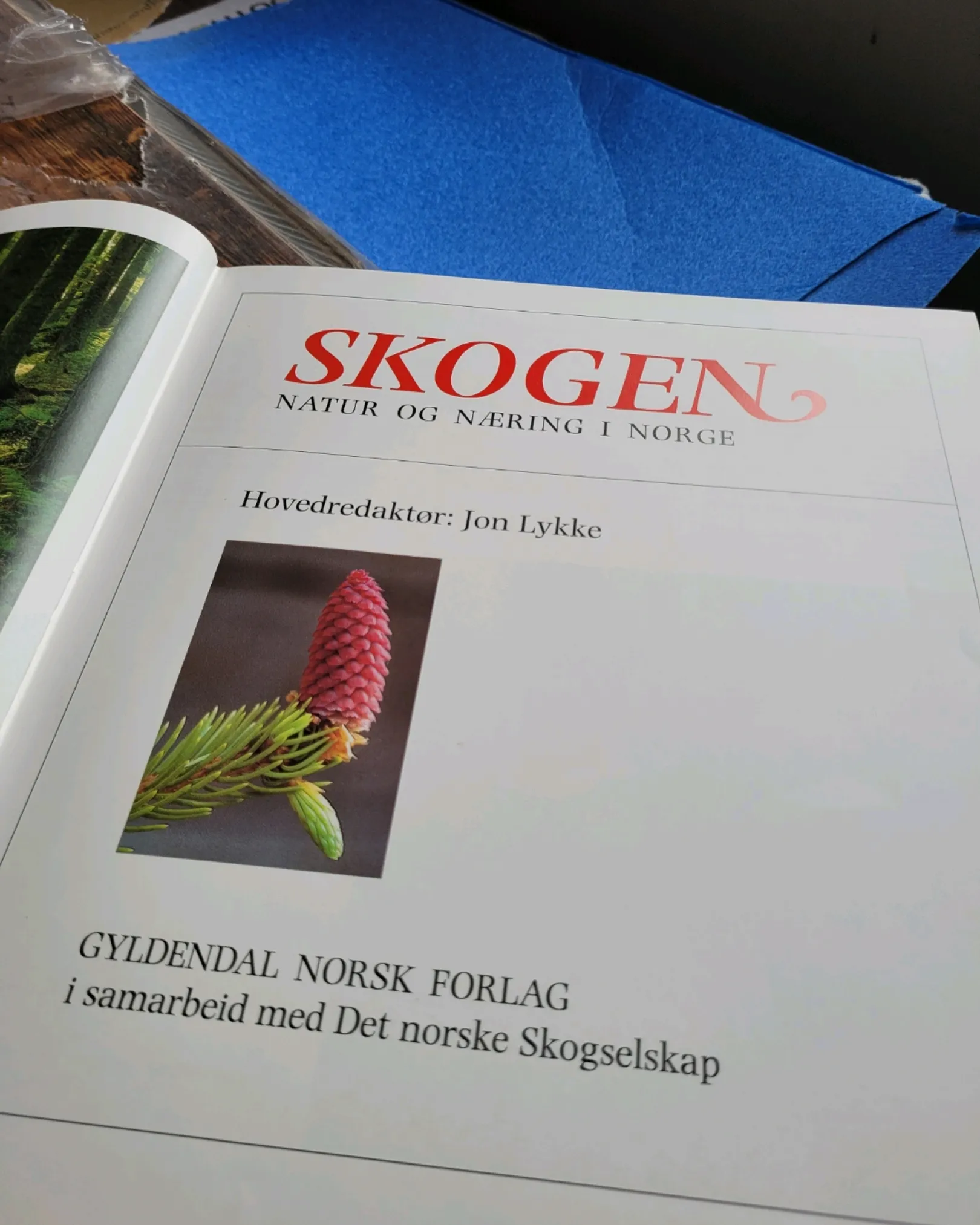 Skogen