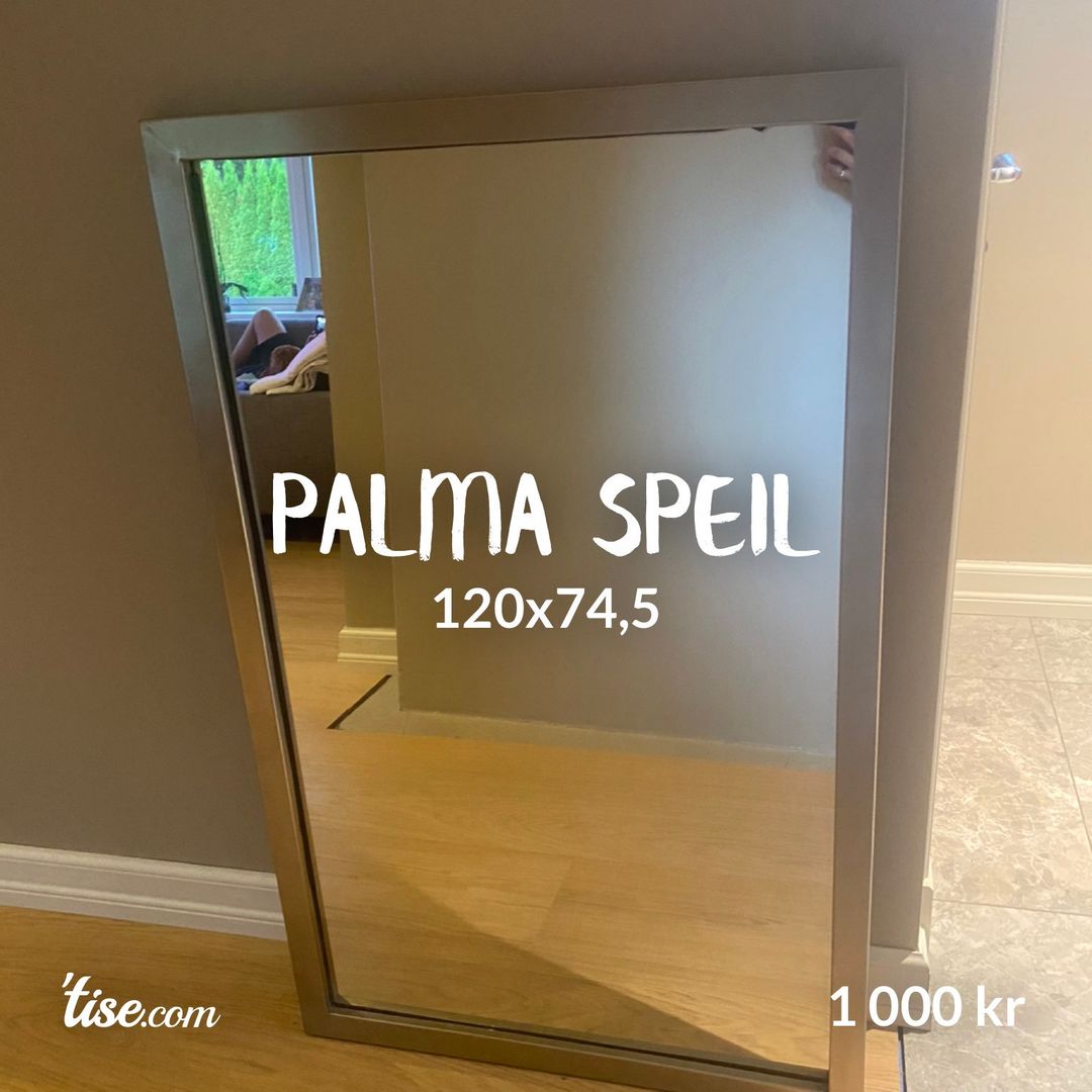 Palma speil