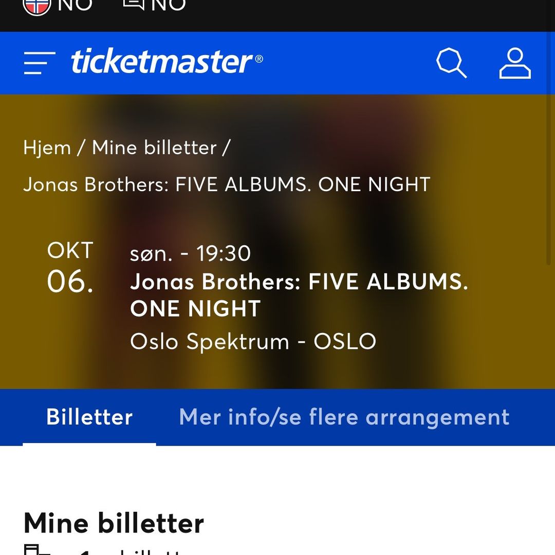 Jonas brothers Oslo