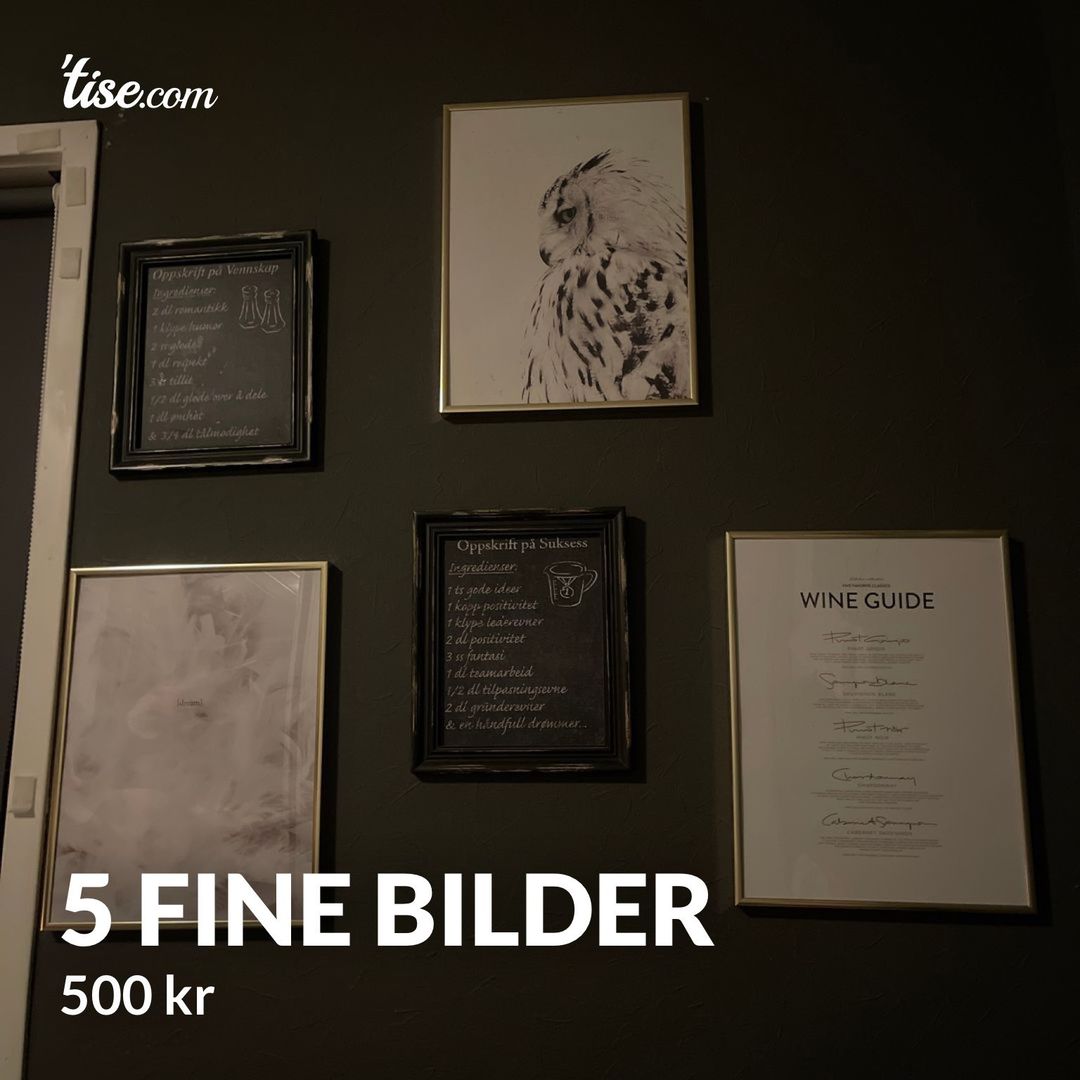 5 fine bilder