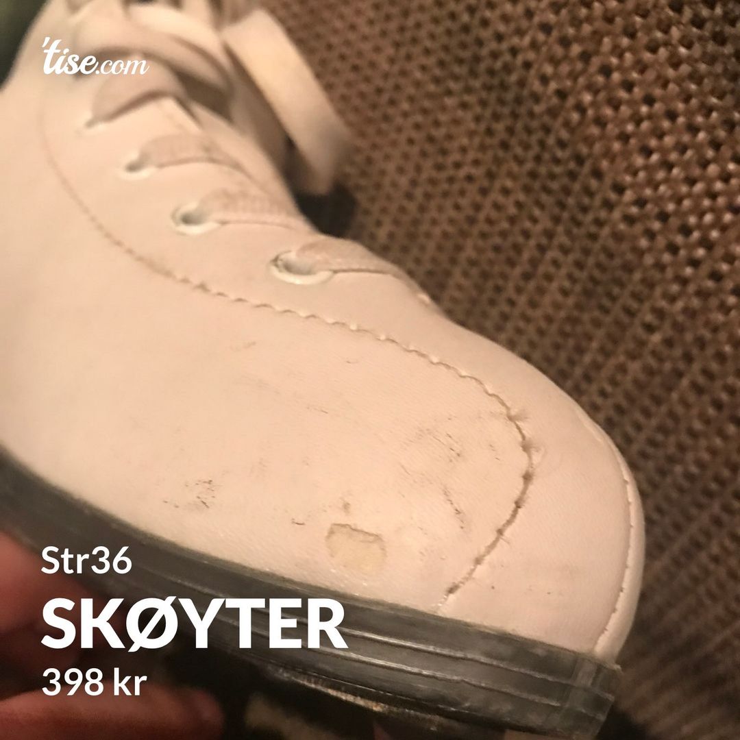 Skøyter