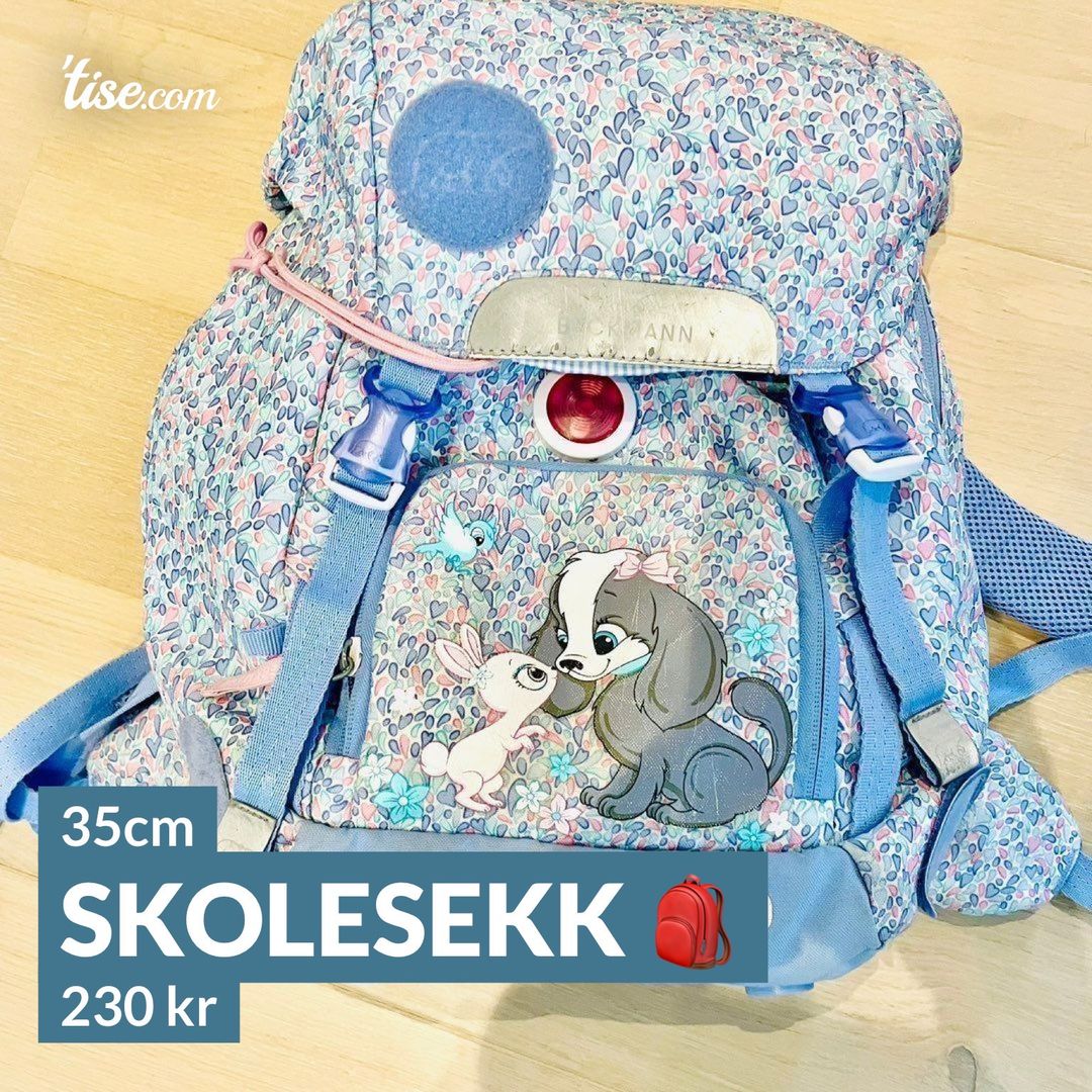 Skolesekk 🎒