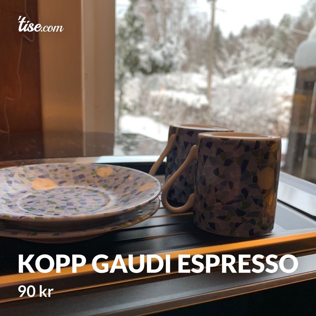 Kopp gaudi Espresso