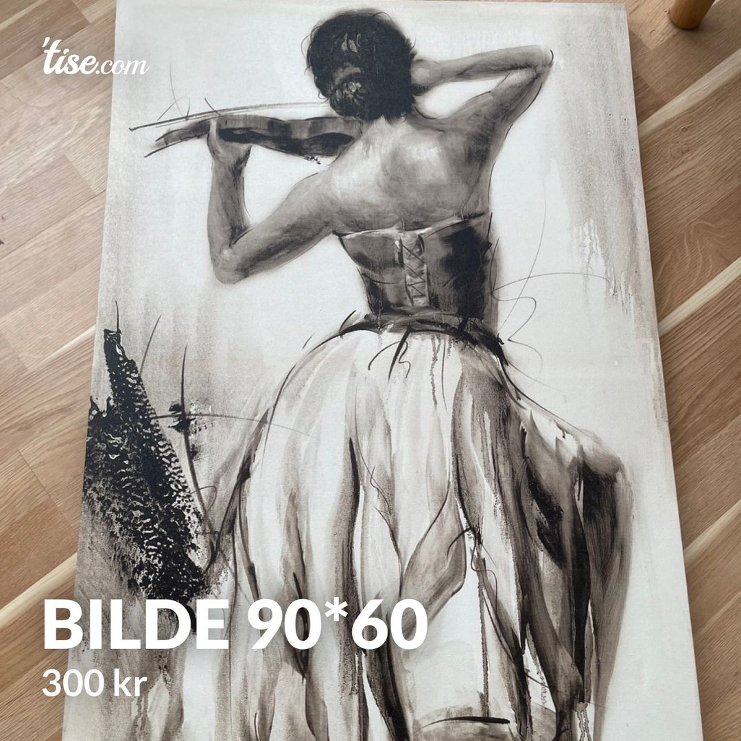 Bilde 90*60