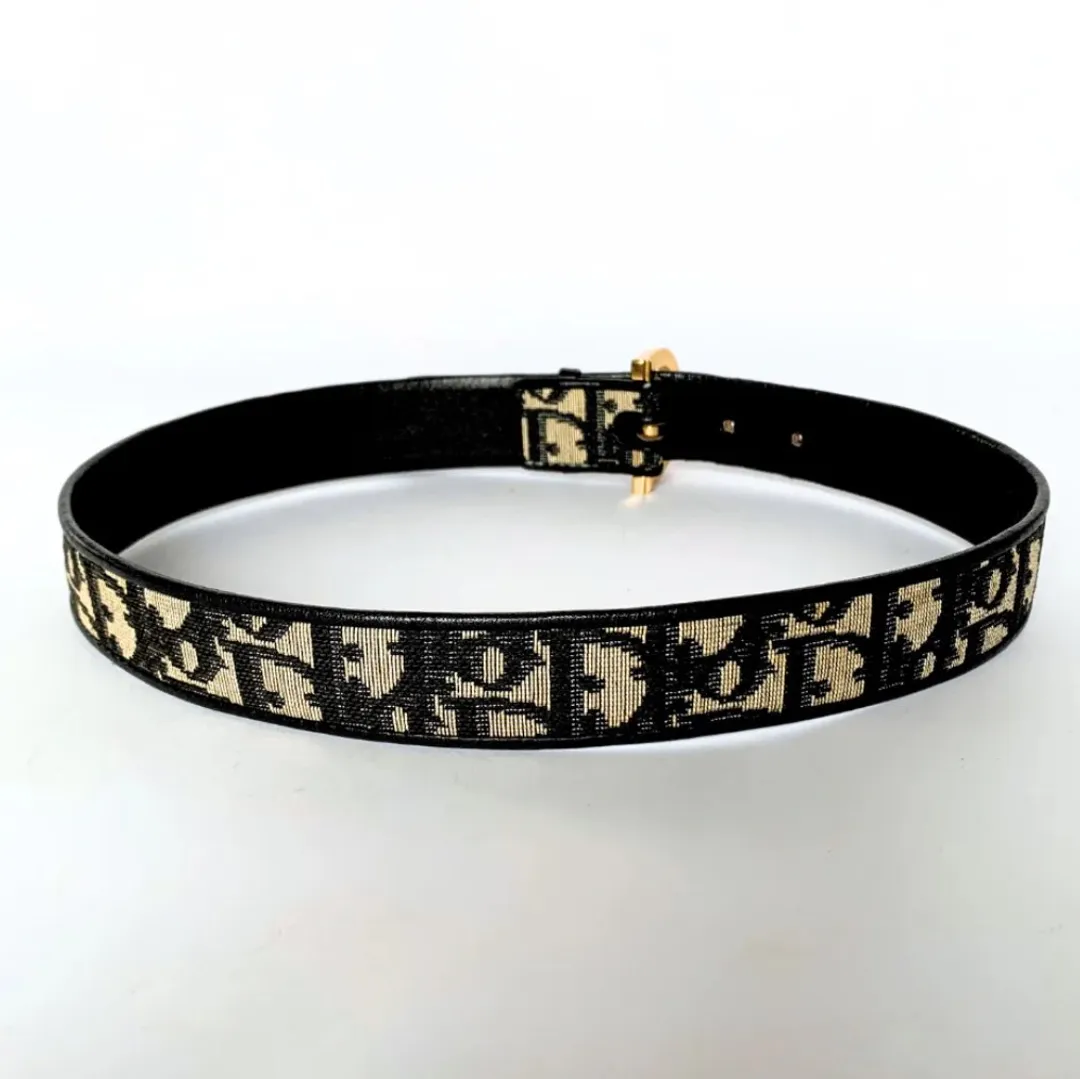 Dior belt