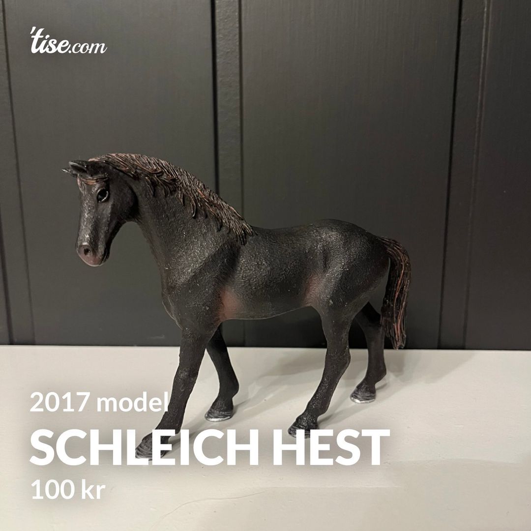 Schleich hest