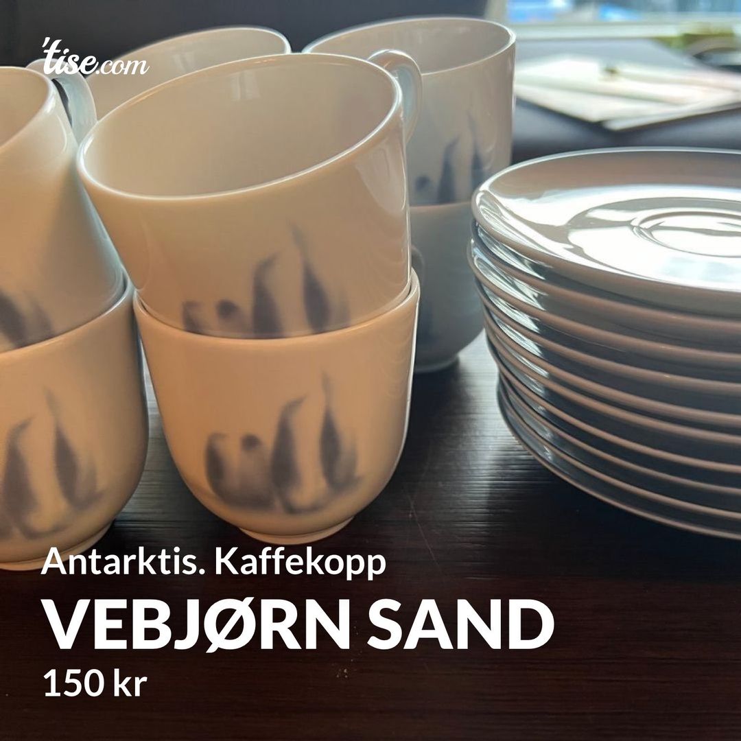 Vebjørn Sand