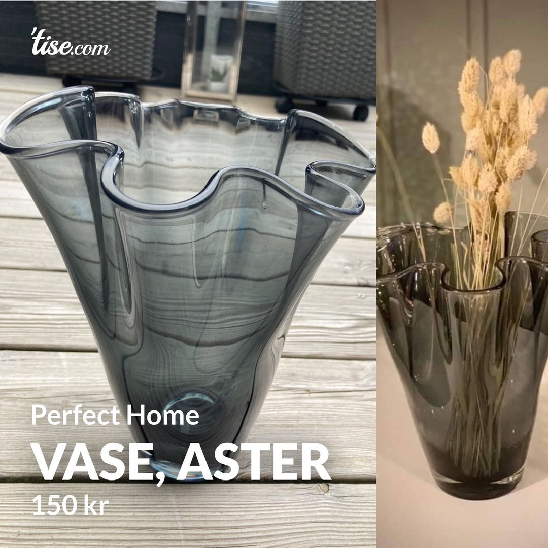 Vase Aster