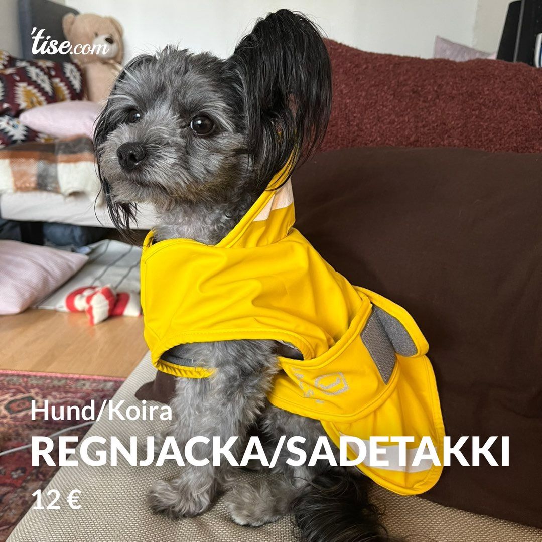 Regnjacka/Sadetakki