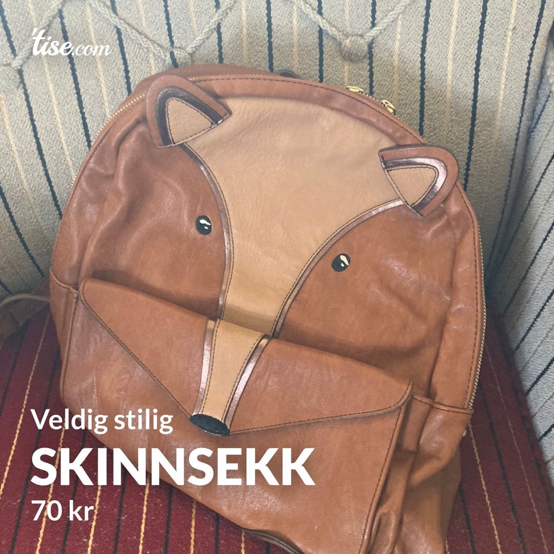 Skinnsekk