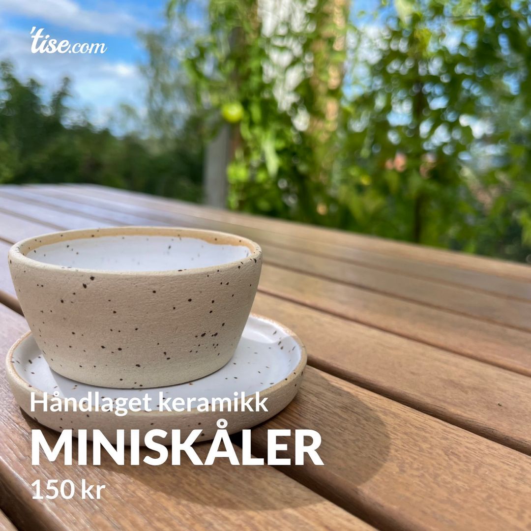 Miniskåler