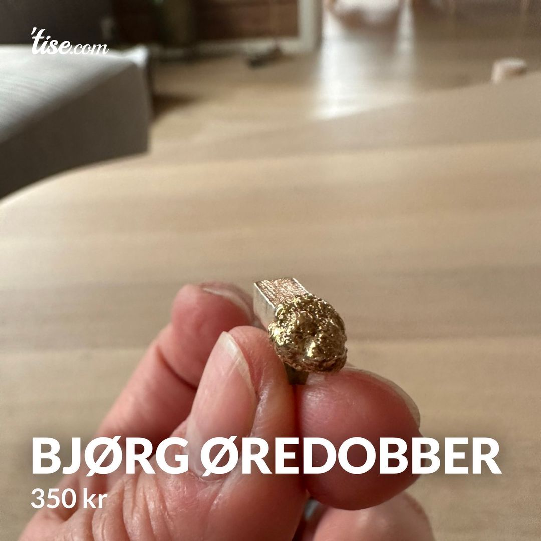 Bjørg øredobber