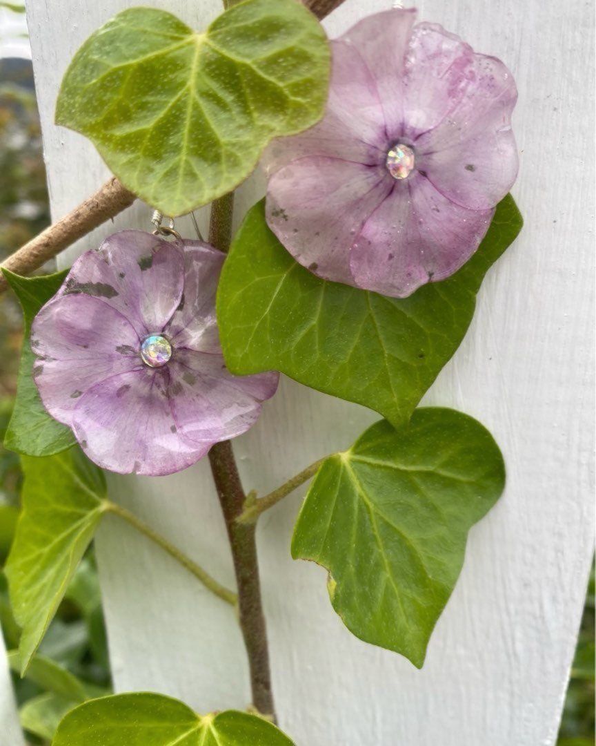 🌸ROSA HØSTFLOKS🌸