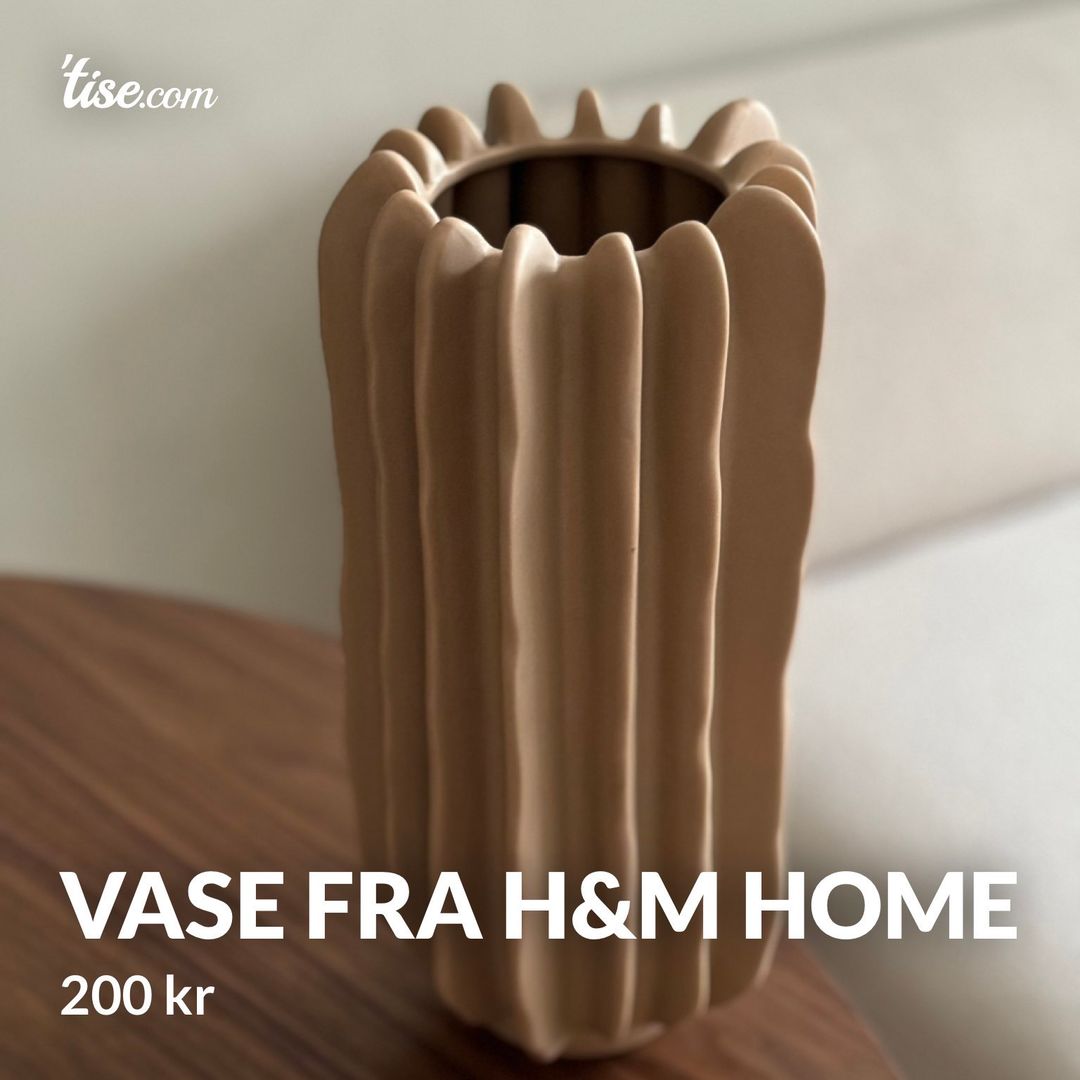 VASE FRA HM HOME