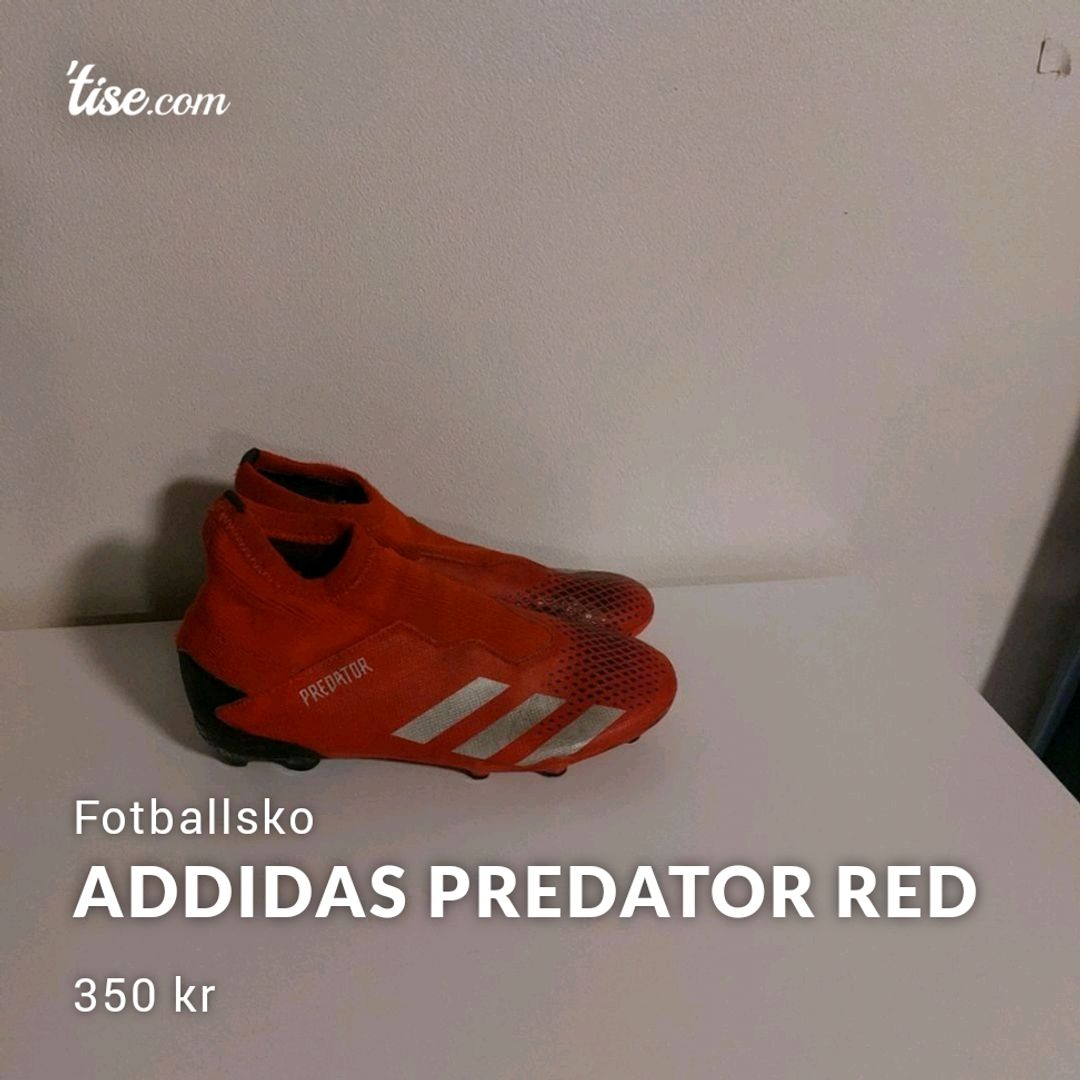 Addidas Predator Red