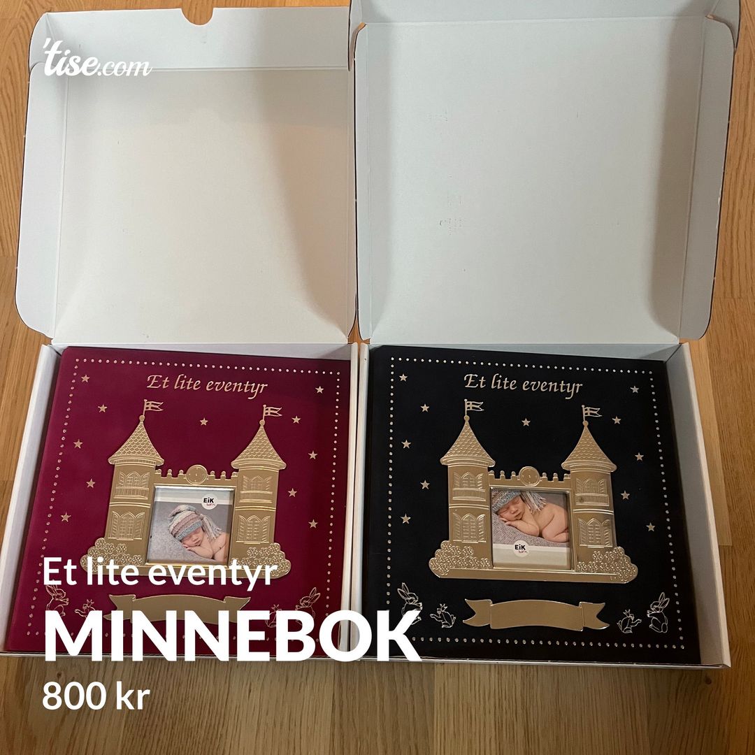 Minnebok