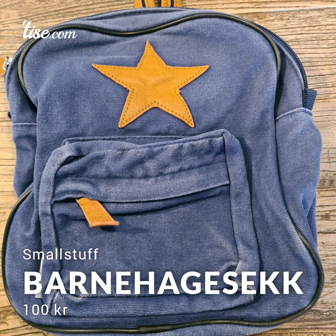 Barnehagesekk