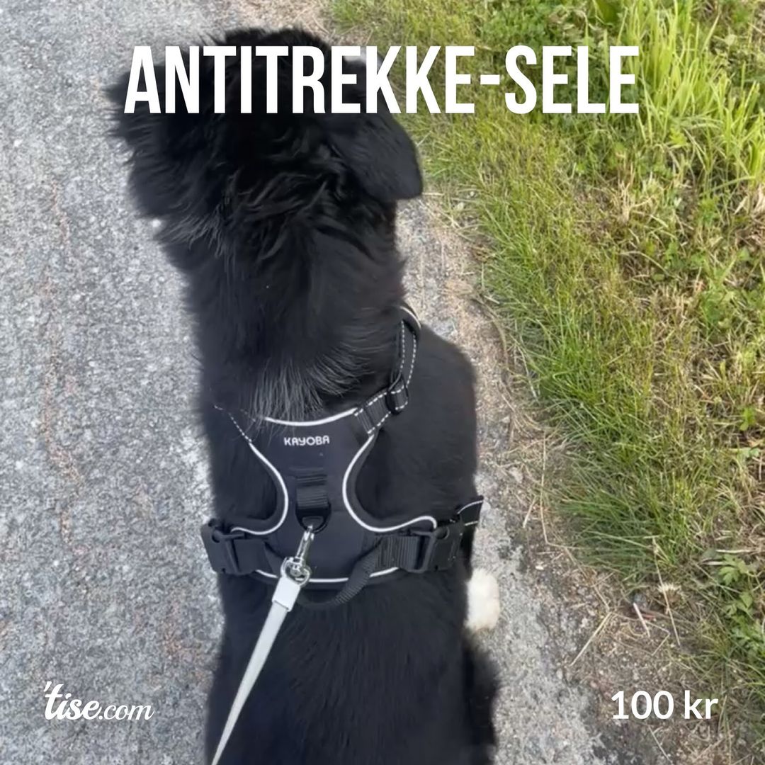 Antitrekke-sele