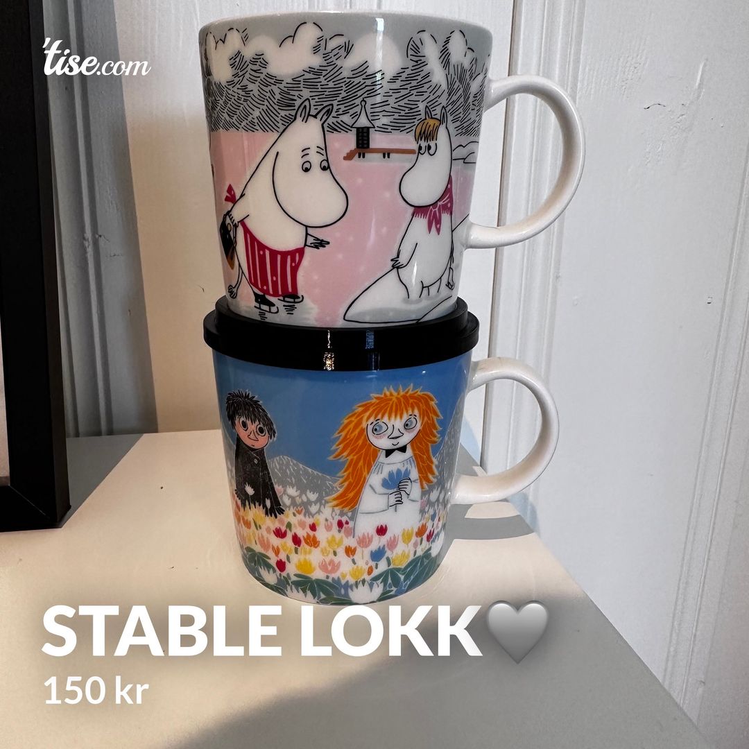 Stable lokk🩶