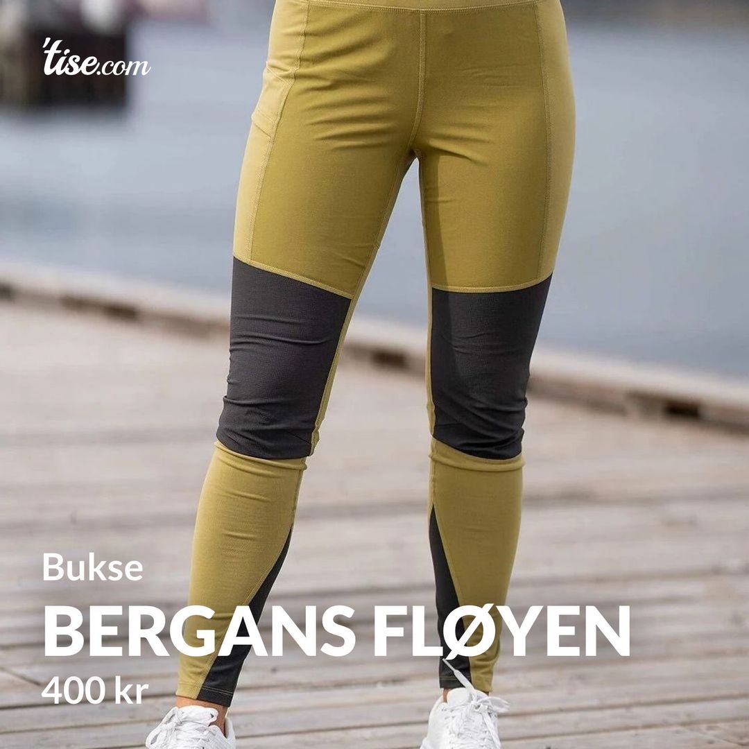 Bergans fløyen