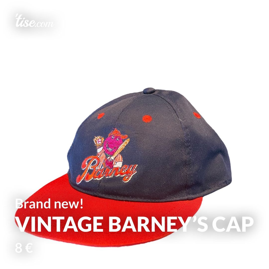 Vintage Barney’s cap