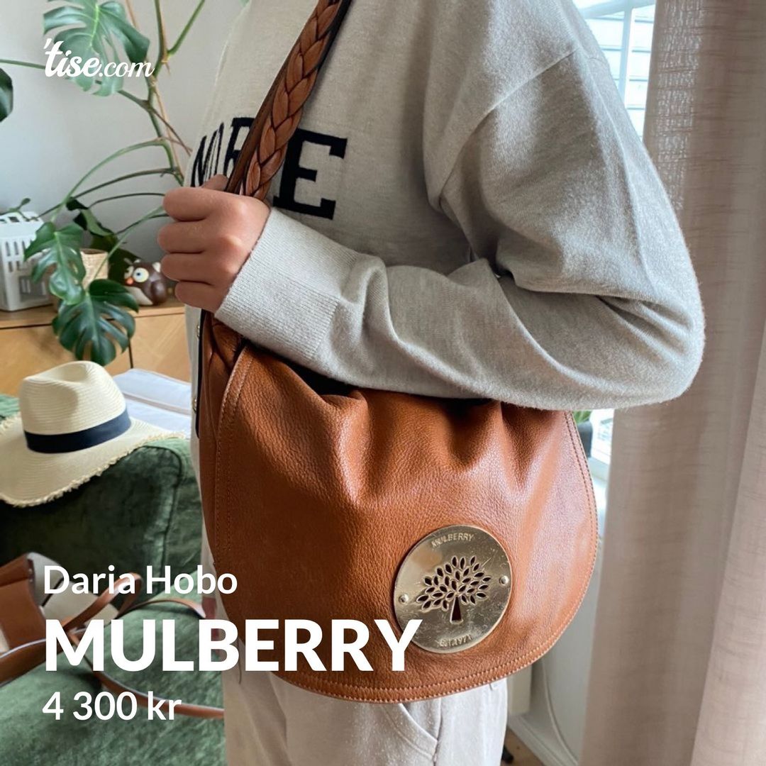 Mulberry