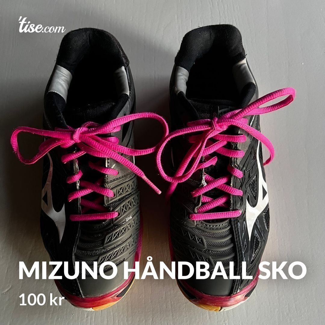 Mizuno Håndball sko