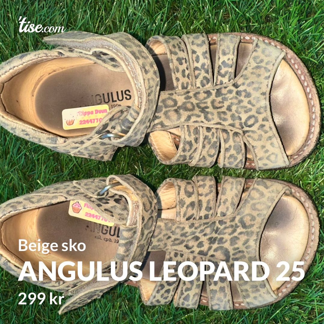 Angulus Leopard 25