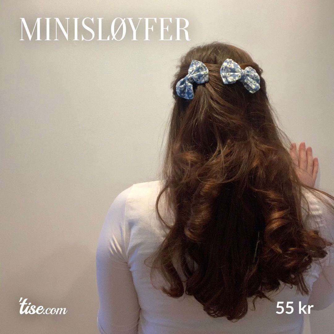 Minisløyfer