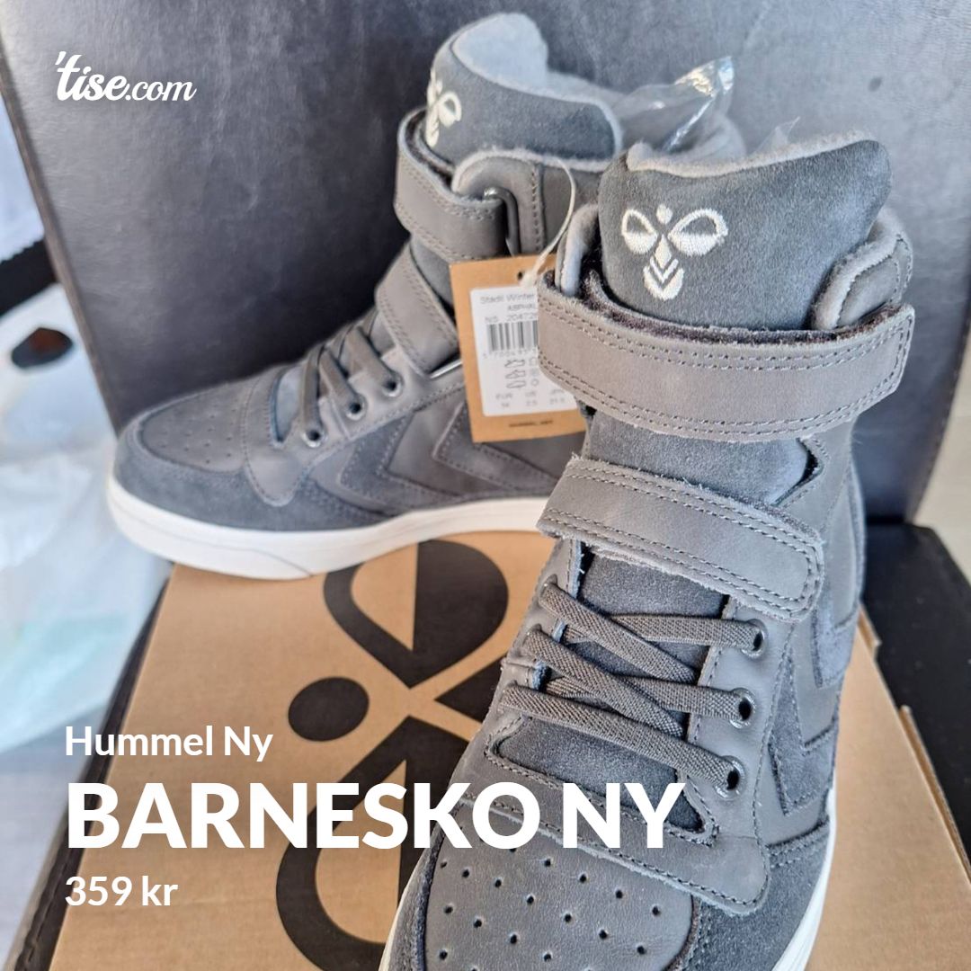 Barnesko Ny