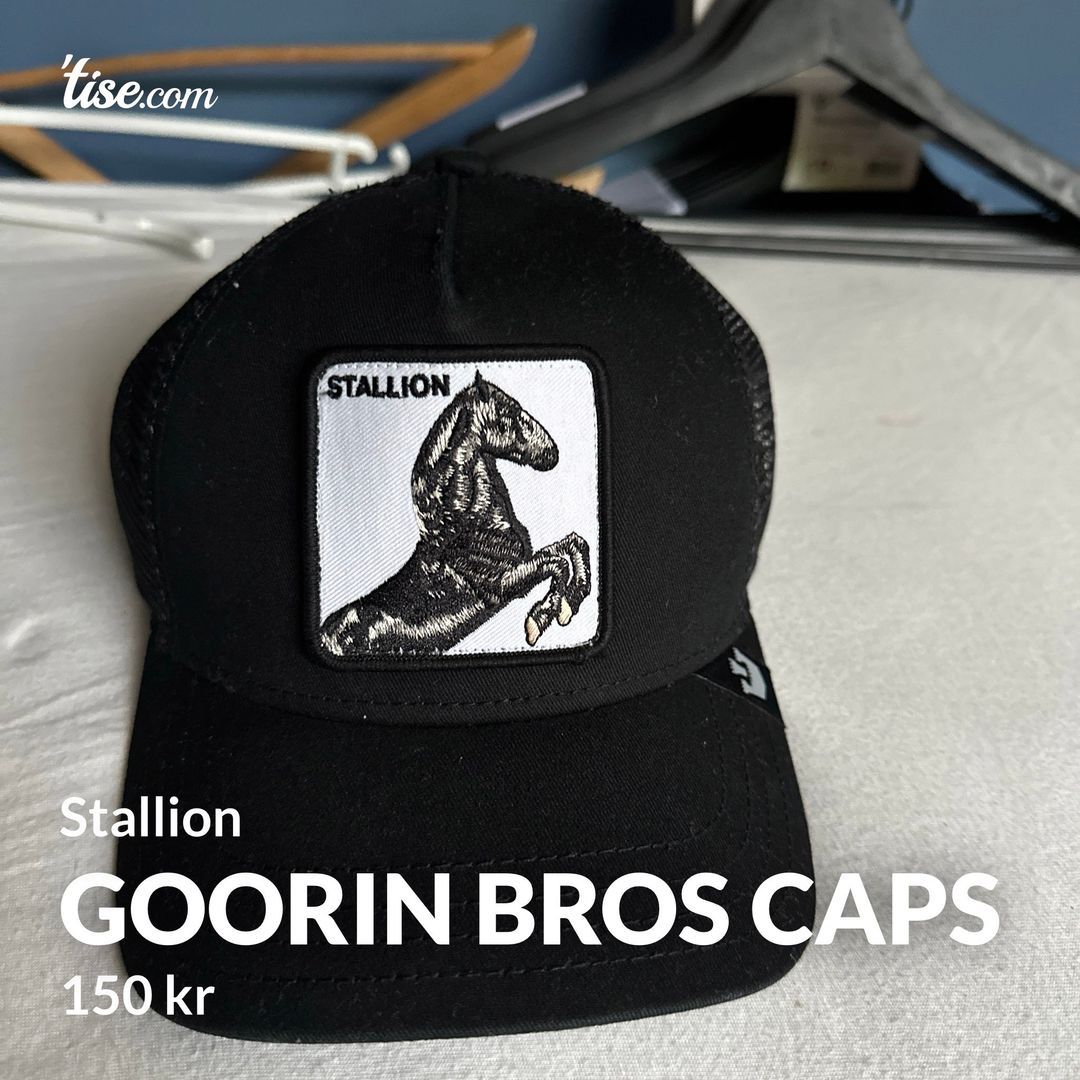 Goorin bros caps