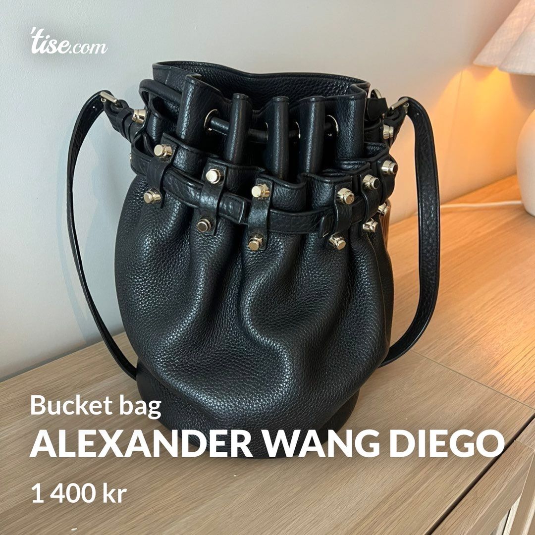 Alexander Wang Diego