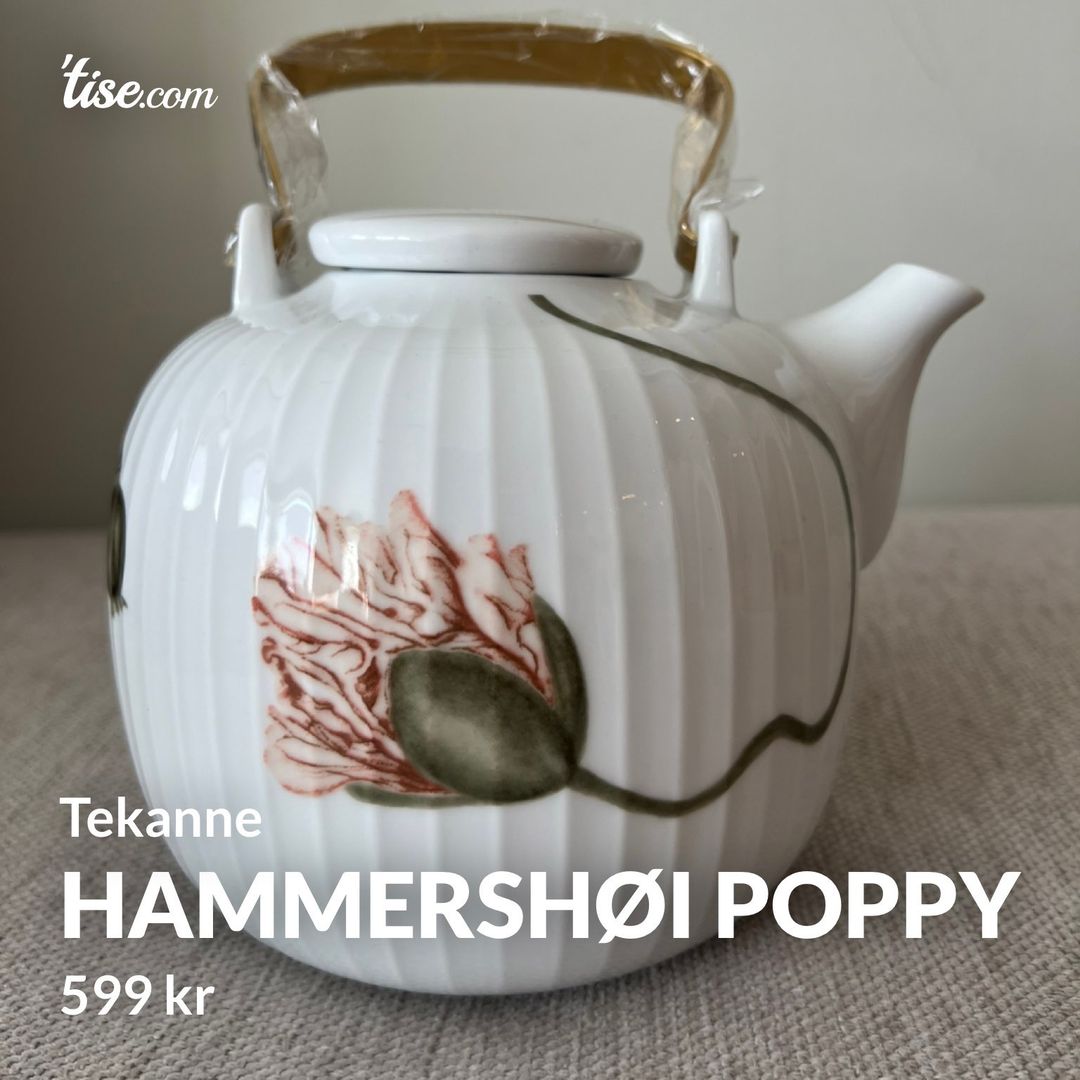 Hammershøi Poppy